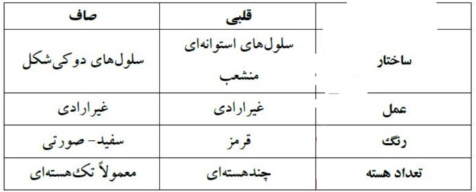 دریافت سوال 1