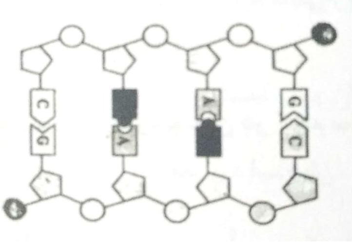 دریافت سوال 2