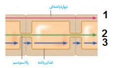 دریافت سوال 35