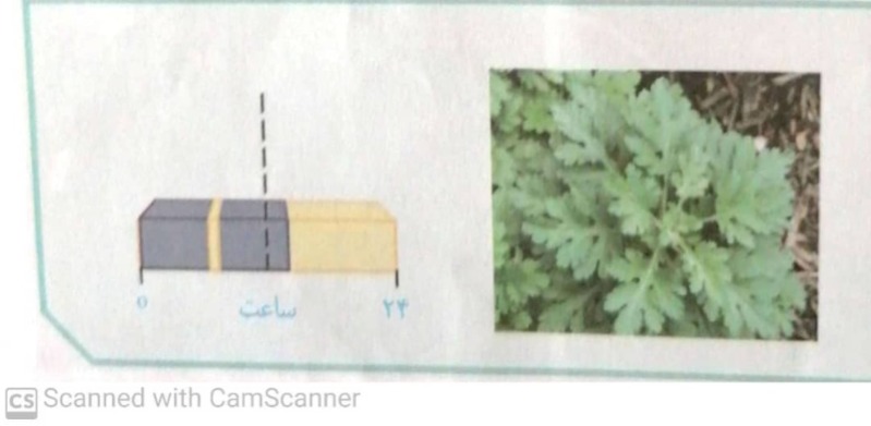 دریافت سوال 30