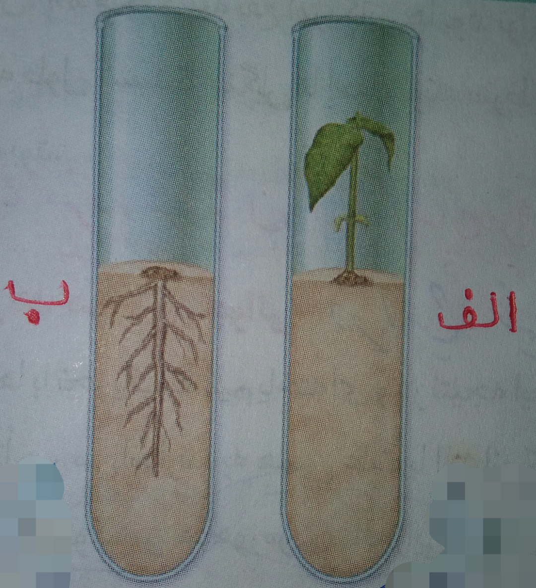 دریافت سوال 52