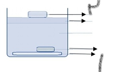 دریافت سوال 10