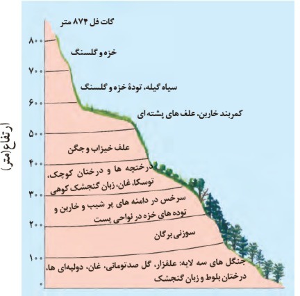 دریافت سوال 17