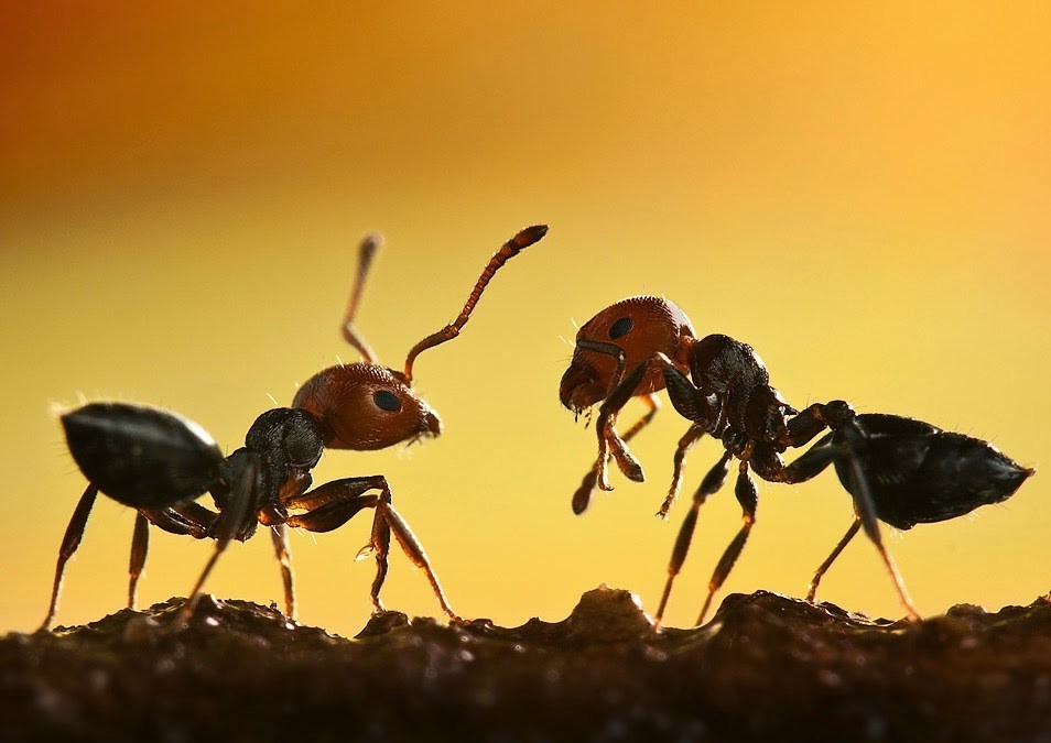 دریافت سوال 4