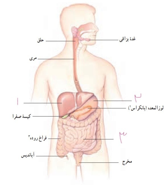 دریافت سوال 6