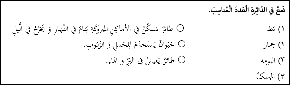 دریافت سوال 12