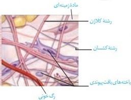 دریافت سوال 19