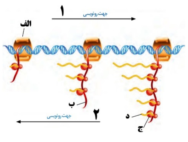 دریافت سوال 16