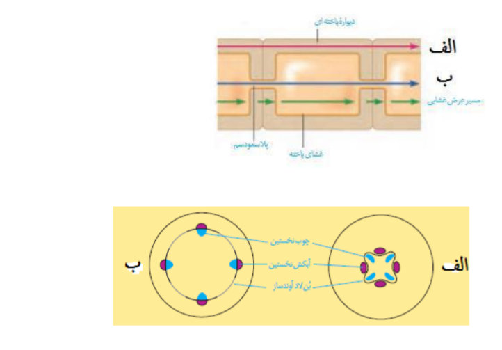 دریافت سوال 20