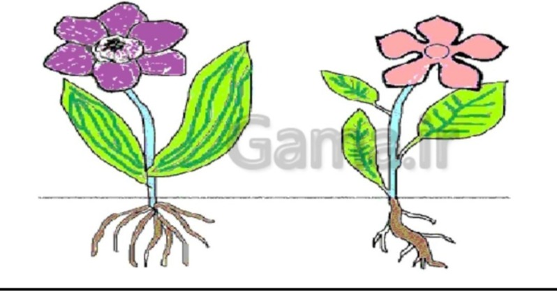 دریافت سوال 5