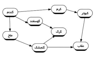 دریافت سوال 21