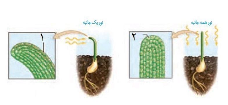 دریافت سوال 28