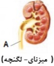 دریافت سوال 21