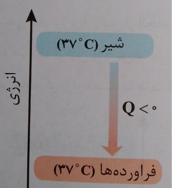 دریافت سوال 7