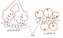 دریافت سوال 12