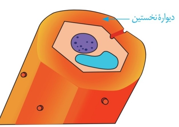 دریافت سوال 35