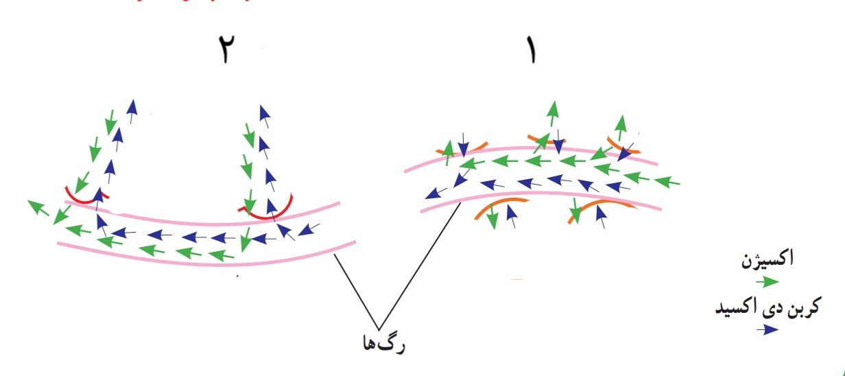 دریافت سوال 7