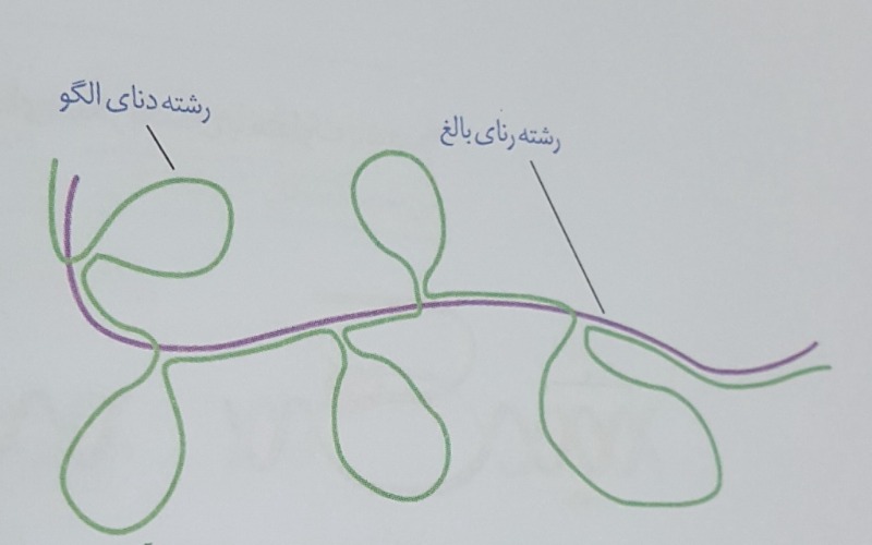 دریافت سوال 2