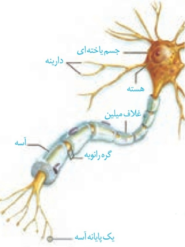 دریافت سوال 2