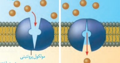 دریافت سوال 16