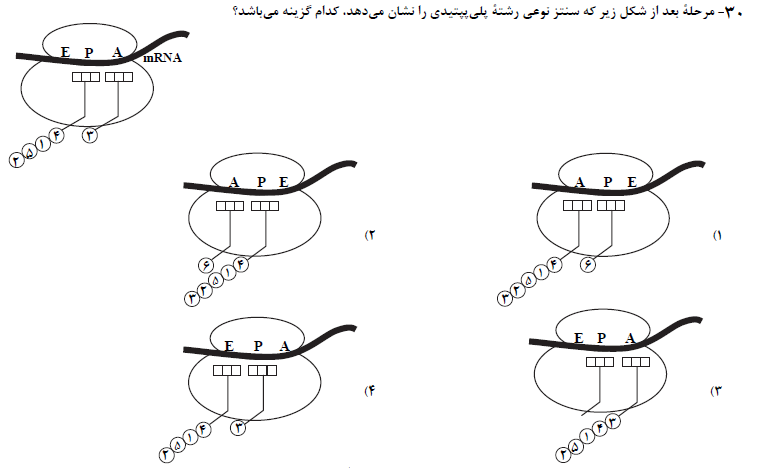 دریافت سوال 30