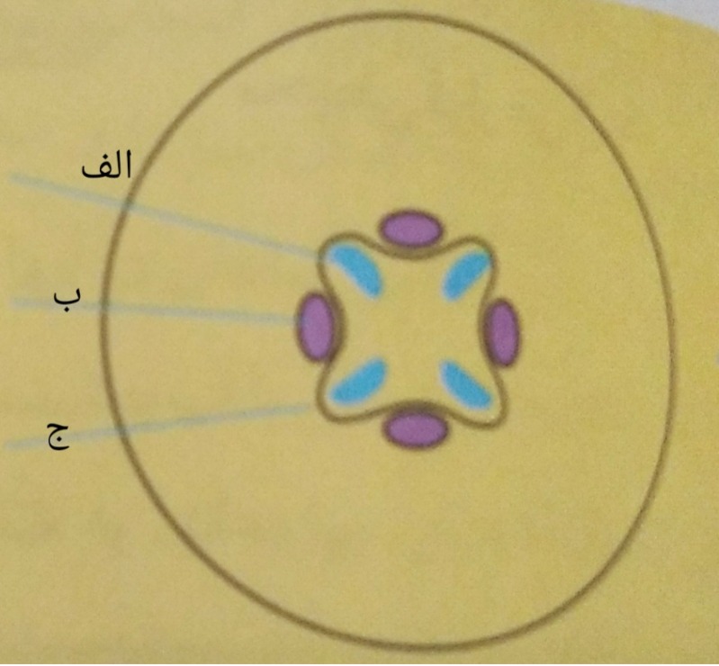 دریافت سوال 32