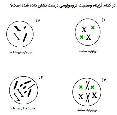 دریافت سوال 18