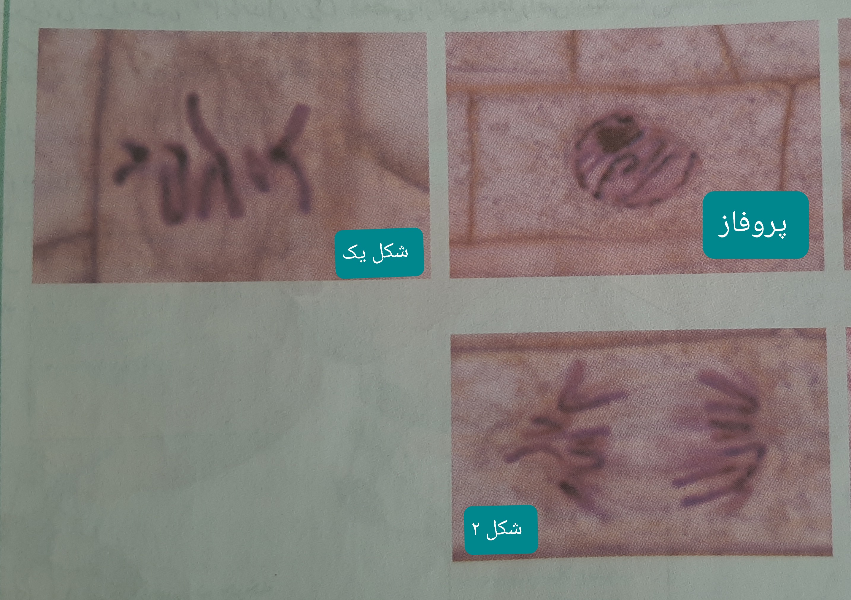 دریافت سوال 24