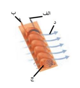 دریافت سوال 10