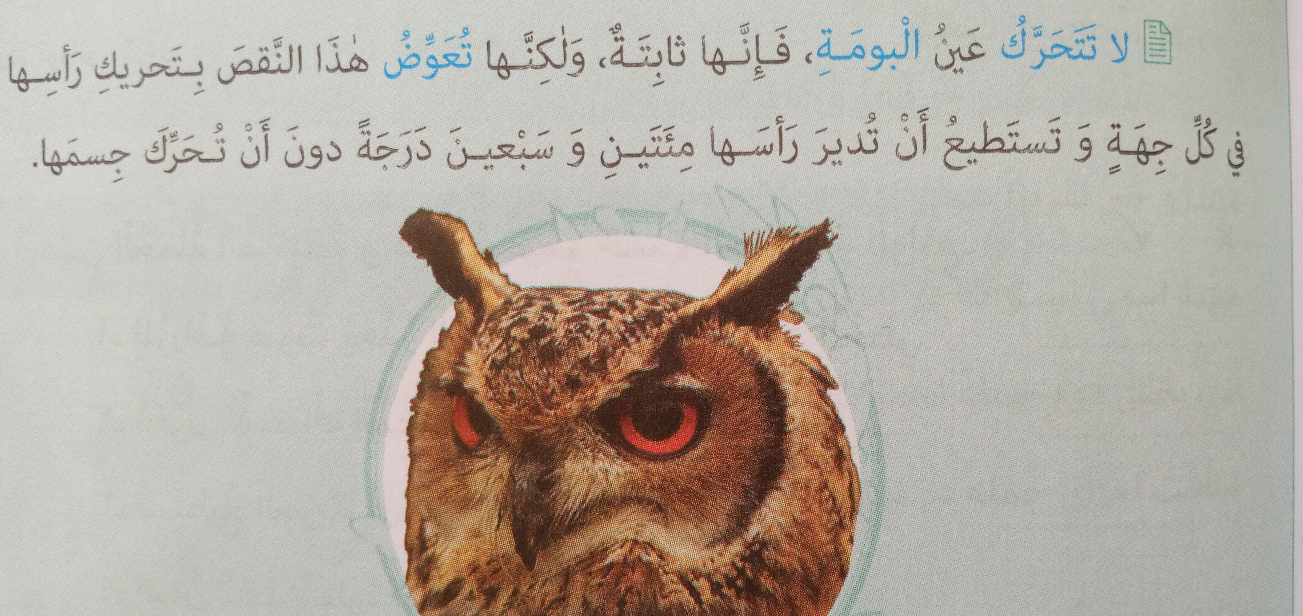 دریافت سوال 16