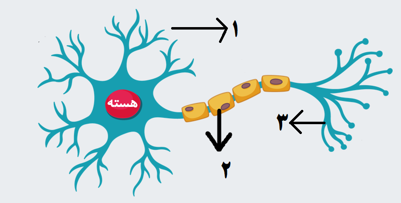 دریافت سوال 21