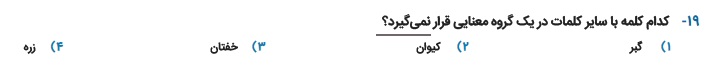 دریافت سوال 19