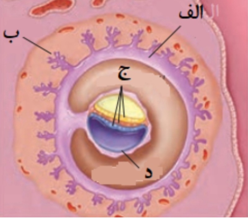 دریافت سوال 19