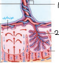 دریافت سوال 28