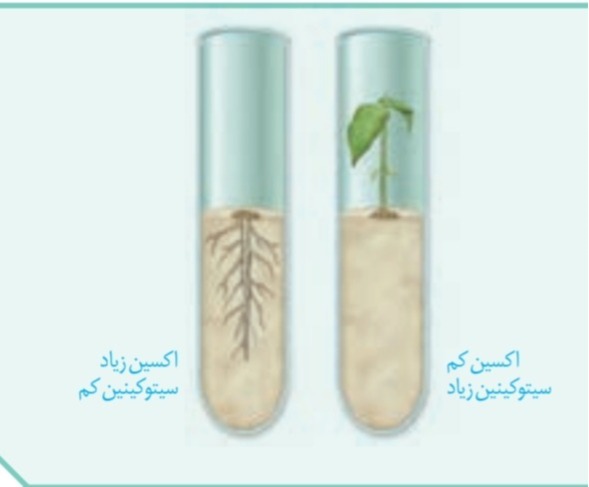 دریافت سوال 48