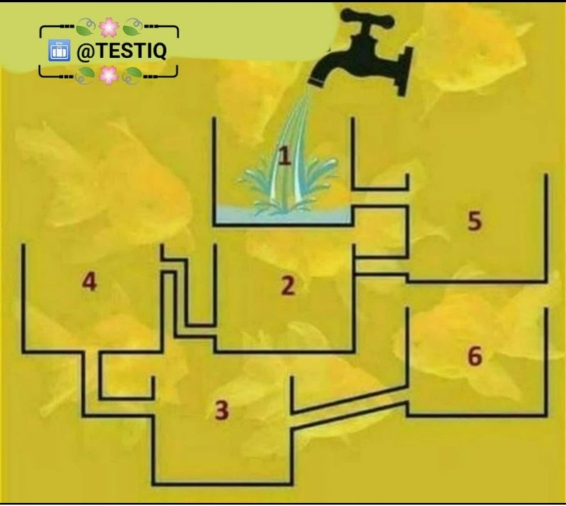 دریافت سوال 7