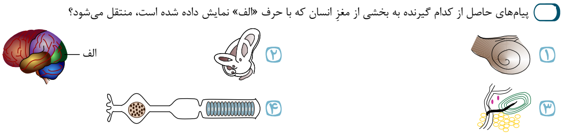 دریافت سوال 49