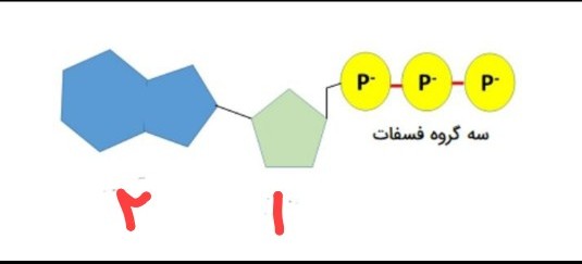 دریافت سوال 3