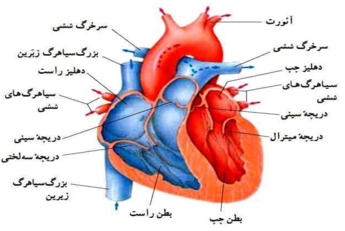 دریافت سوال 9