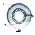 دریافت سوال 35