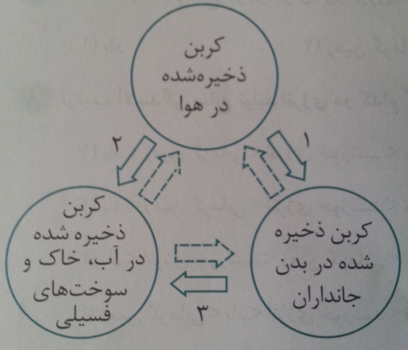 دریافت سوال 14