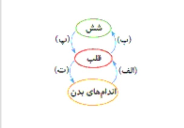 دریافت سوال 28