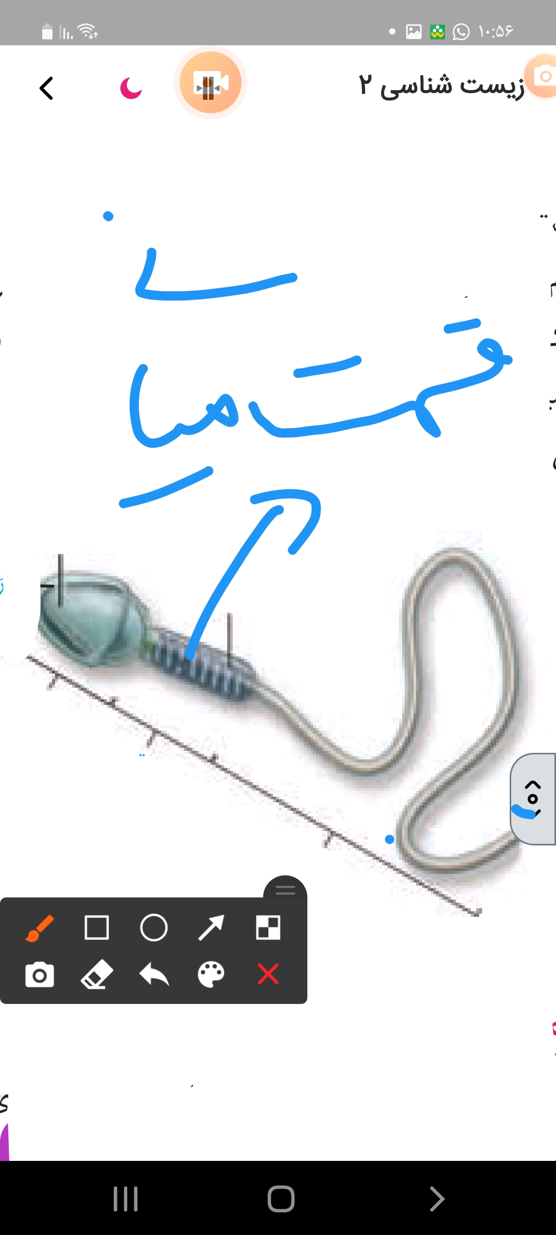 دریافت سوال 17