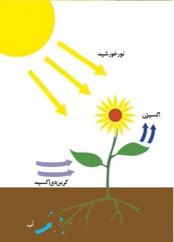 دریافت سوال 13