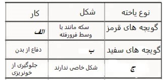 دریافت سوال 16