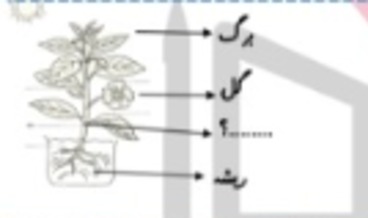 دریافت سوال 13