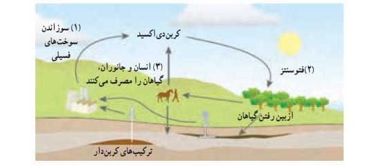 دریافت سوال 11