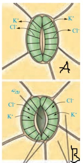 دریافت سوال 23