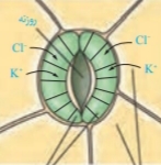 دریافت سوال 41