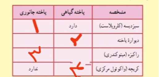 دریافت سوال 12